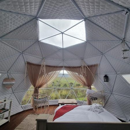 Hotel Pom Gratz - Ecodomes Hartebeesrivier Exteriér fotografie