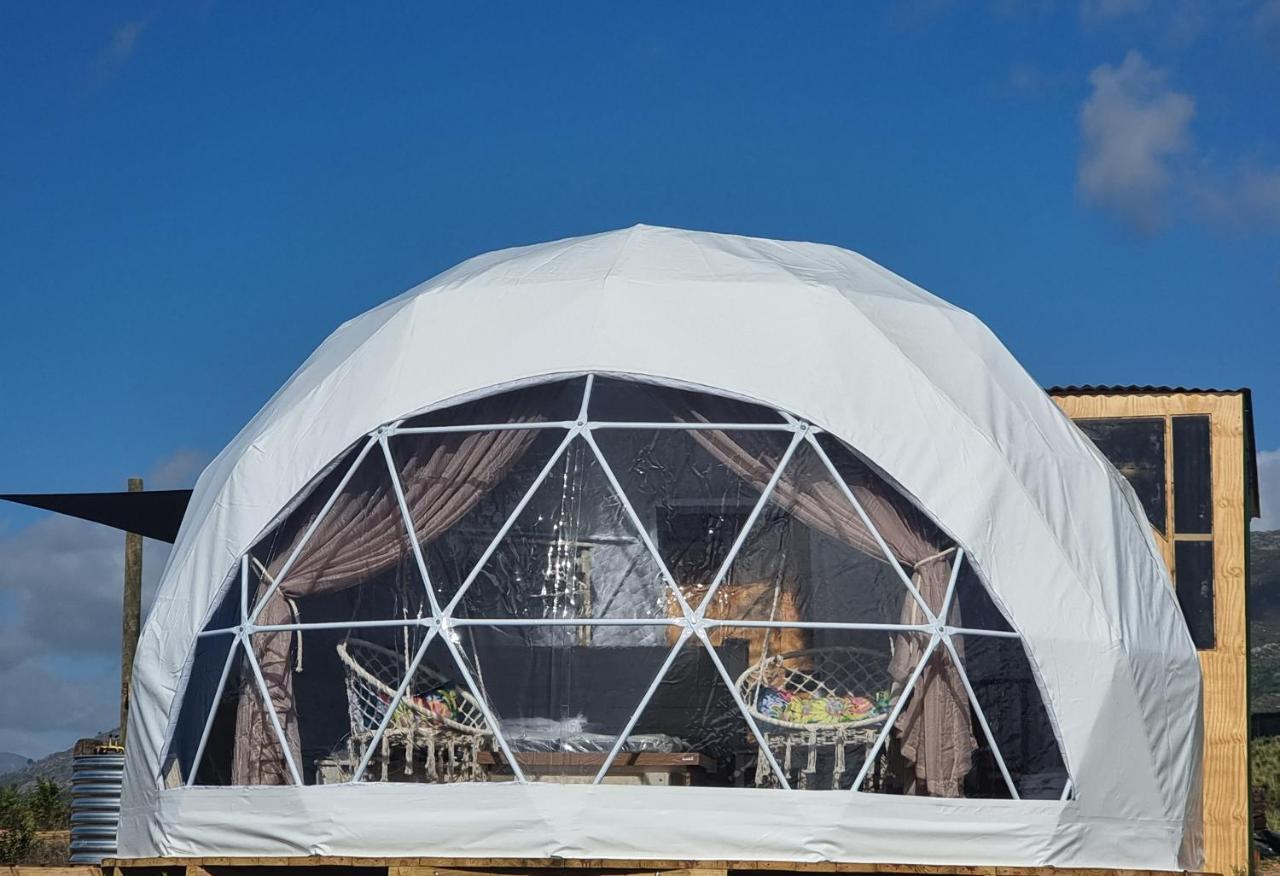 Hotel Pom Gratz - Ecodomes Hartebeesrivier Exteriér fotografie