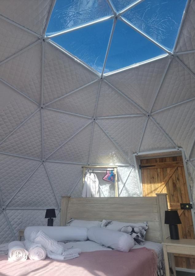 Hotel Pom Gratz - Ecodomes Hartebeesrivier Exteriér fotografie