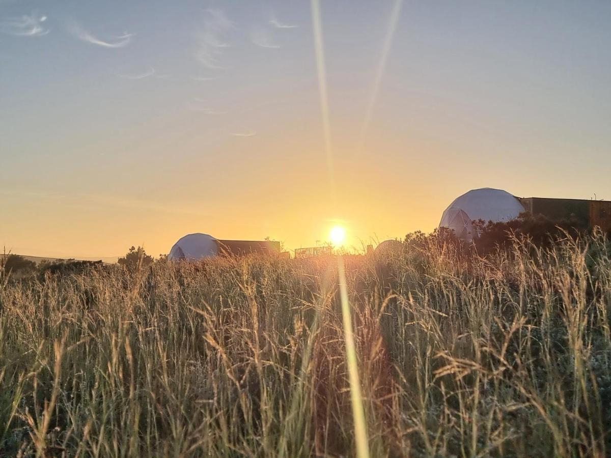 Hotel Pom Gratz - Ecodomes Hartebeesrivier Exteriér fotografie