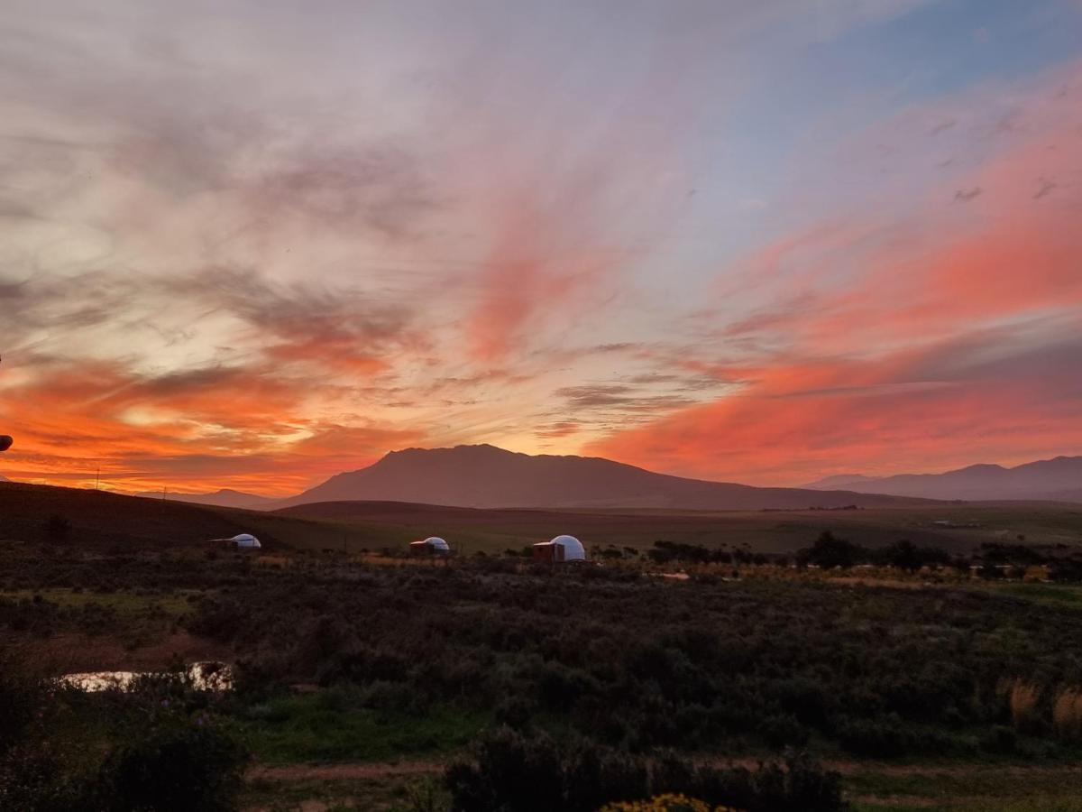 Hotel Pom Gratz - Ecodomes Hartebeesrivier Exteriér fotografie
