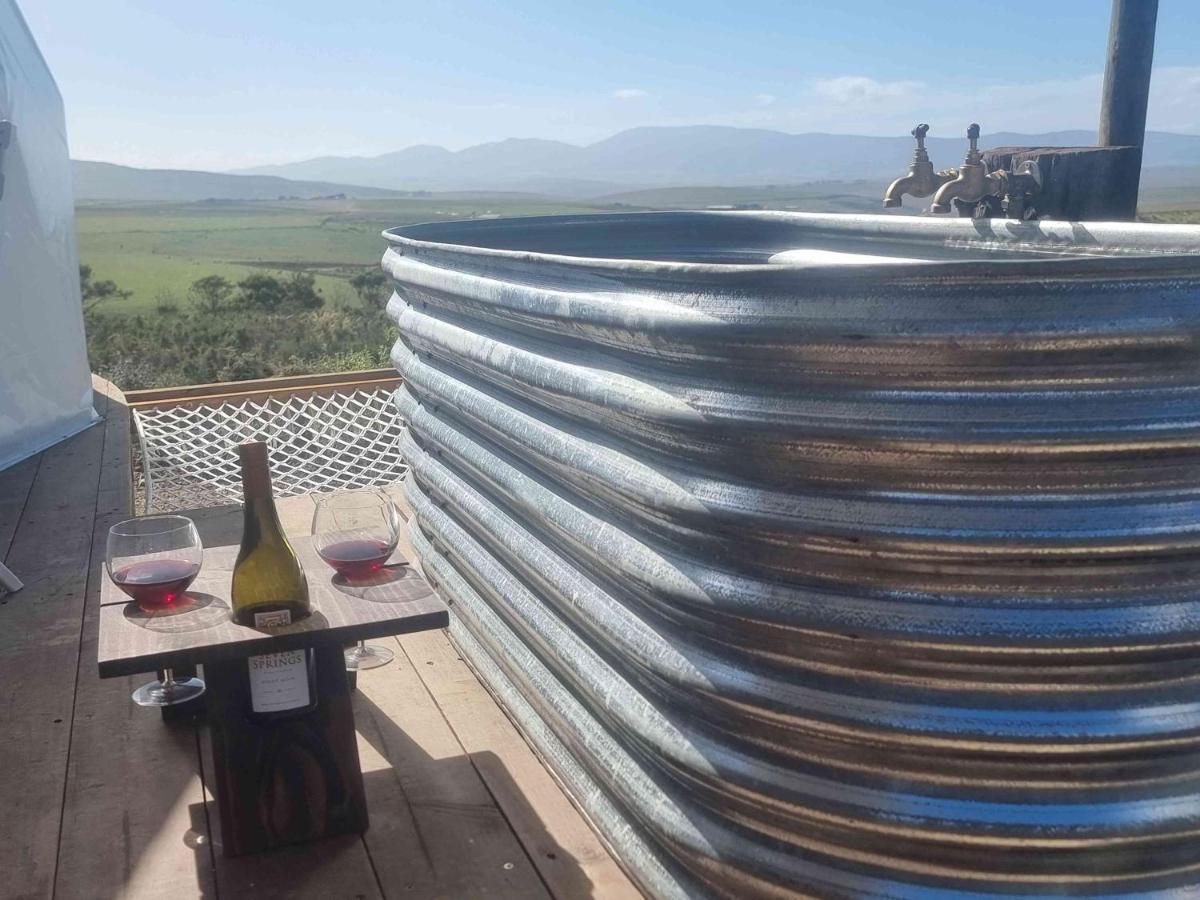 Hotel Pom Gratz - Ecodomes Hartebeesrivier Exteriér fotografie